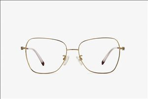 Hua Ming PCI42titanium eyewear glasses frame