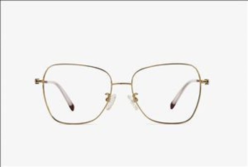 Hua Ming PCI42titanium eyewear glasses frame