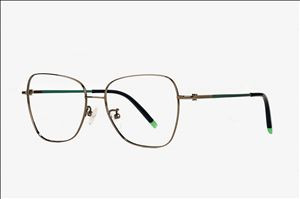 Hua Ming PCI42titanium eyewear glasses frame