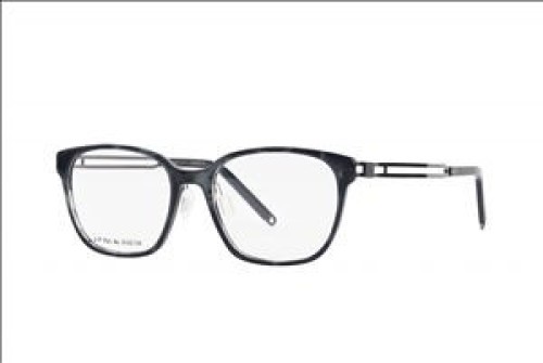 Hua Ming HIE SUS301 SSA006 screwless eyewear glasses frame
